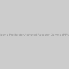 Image of Human Peroxisome Proliferator Activated Receptor Gamma (PPARg) ELISA Kit